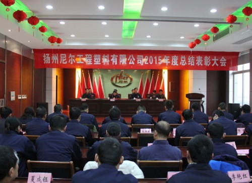 瞄准新目标、开启新征程——公司举行2015年工作总结表彰大会