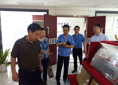 市委组织部调研成人抖音下载党支部工作室