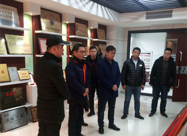 定边县在宝挂职干部考察成人抖音下载