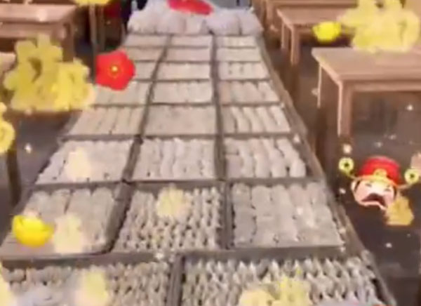 新年快乐！