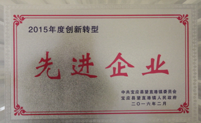 公司近期所获宝应县望直港镇党委、政府授予的荣誉