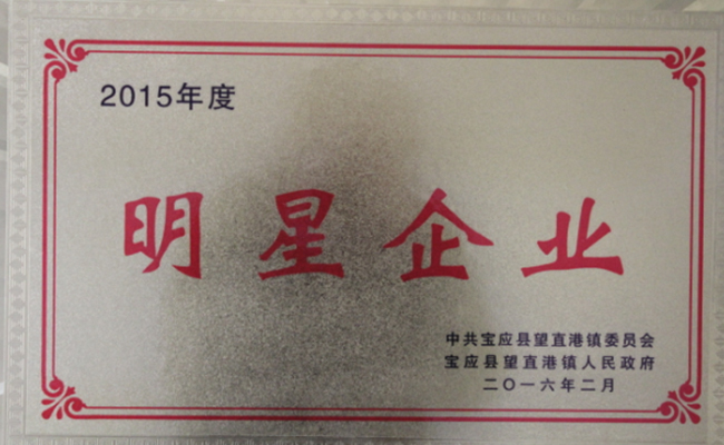 公司近期所获宝应县望直港镇党委、政府授予的荣誉