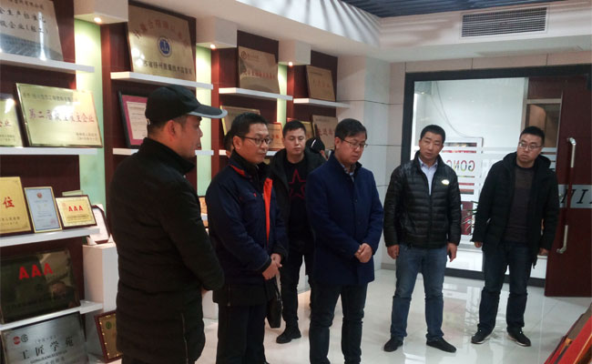 定边县在宝挂职干部考察成人抖音下载